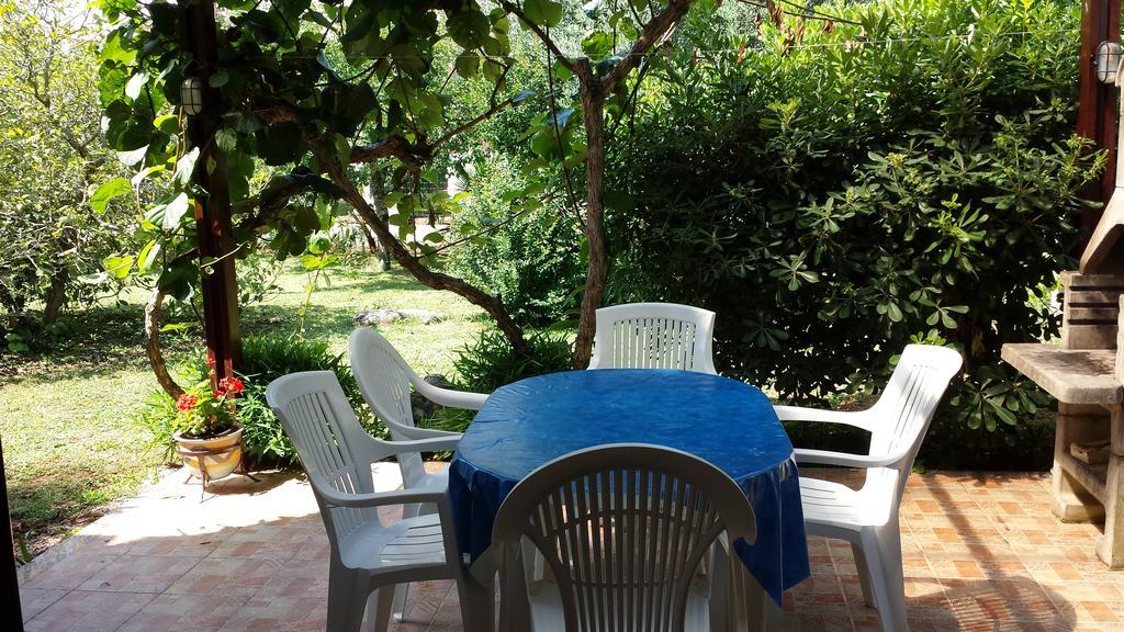 Apartments Lana Umag Room photo
